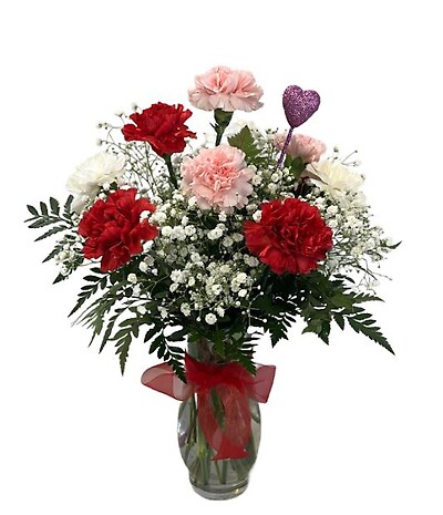 $44.99   One dozen Valentine Color Carnations